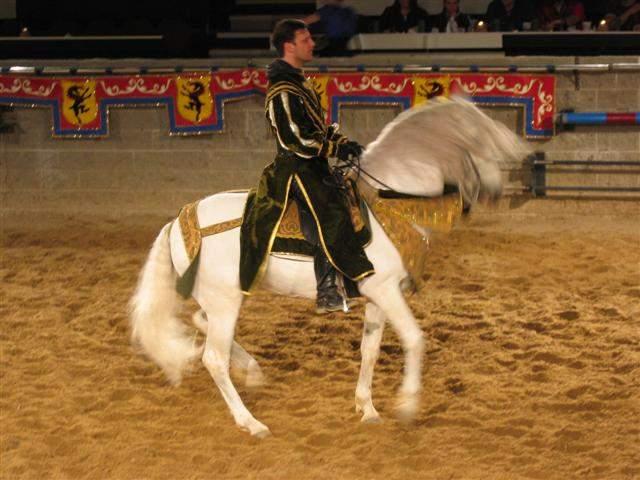 Medieval Times - Shannons 23rd Bday 44.JPG